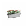 Voir la diapositive 2 : ARTEVASI Jardiniere - ARTEVASI - VENEZIA RE KIT - 50 ma - Gris clair