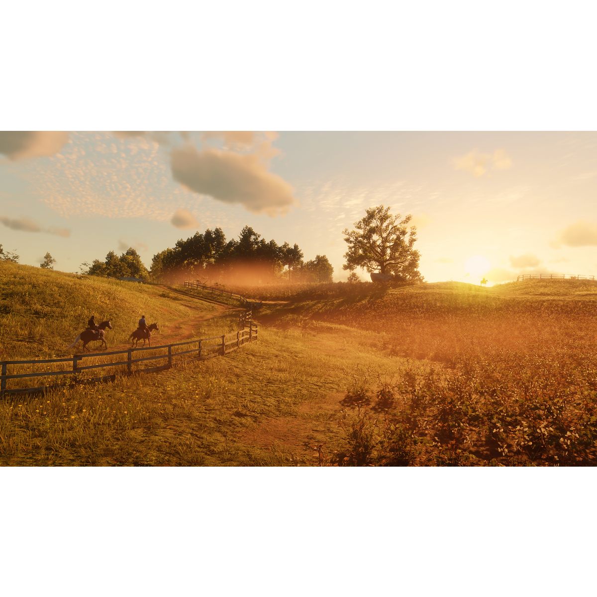 Red Dead Redemption 2 PC