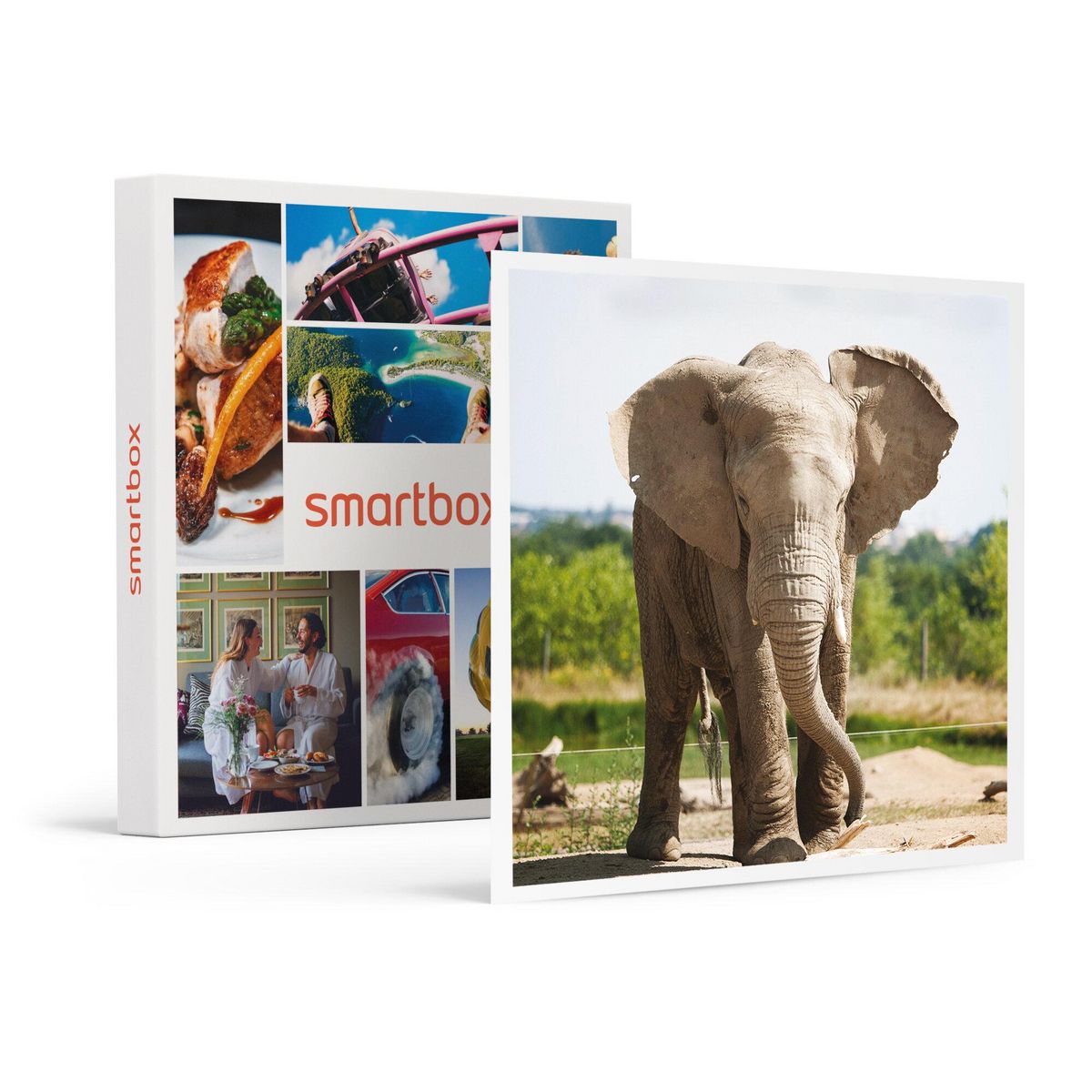 Smartbox Journée d'exploration en famille : 4 entrées pour le Safari de Peaugres près de Saint-Étienne - Coffret Cadeau Sport & Aventure