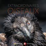EXTRAORDINAIRES OISEAUX, Balança Erwan