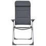Voir la diapositive 3 : VIDAXL Chaise de camping lot de 2 Gris 58x69x111 cm Aluminium