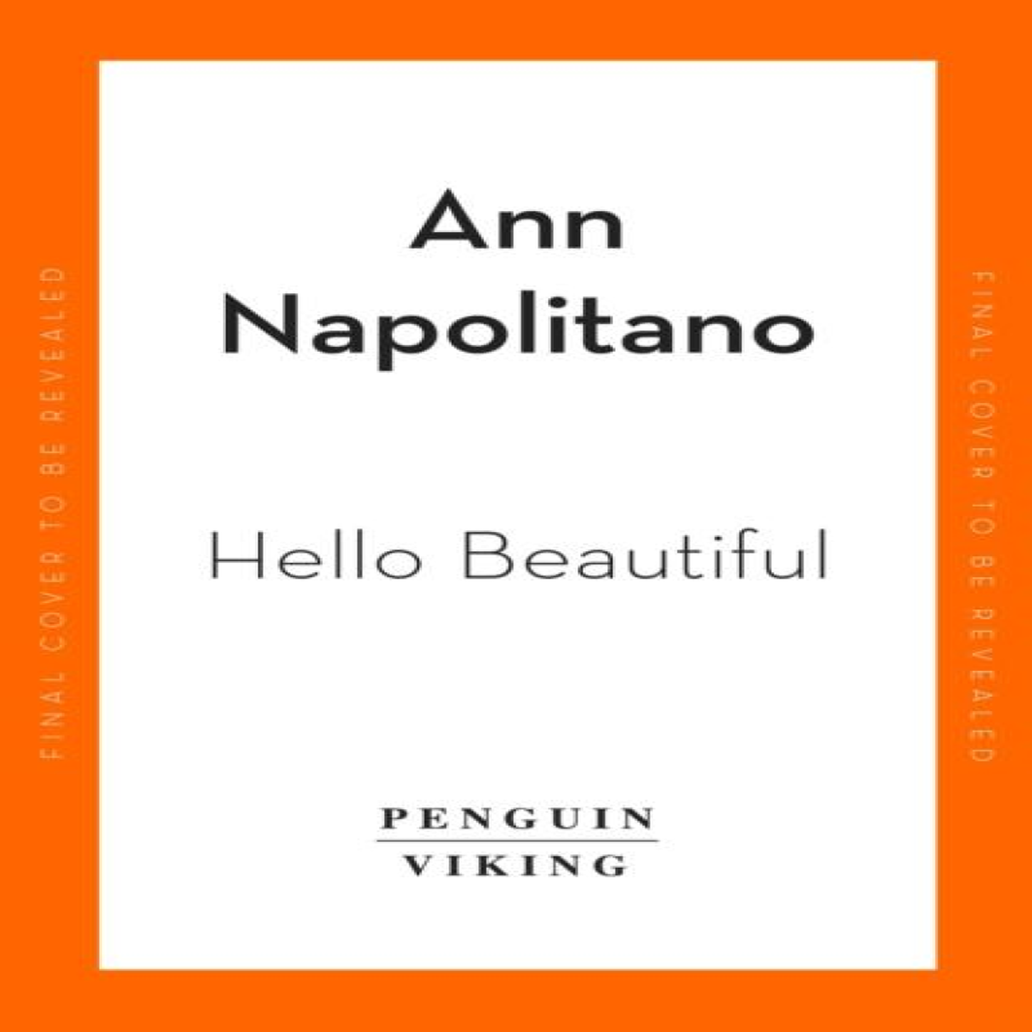 LIVRES Hello Beautiful - Ann Napolitano