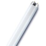 Osram Tube fluorescent droit T8 opaque 950 Lm  70 W blanc, OSRAM