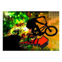 Voir la diapositive 2 : Paris Prix Papier Peint  Bicycle Tricks