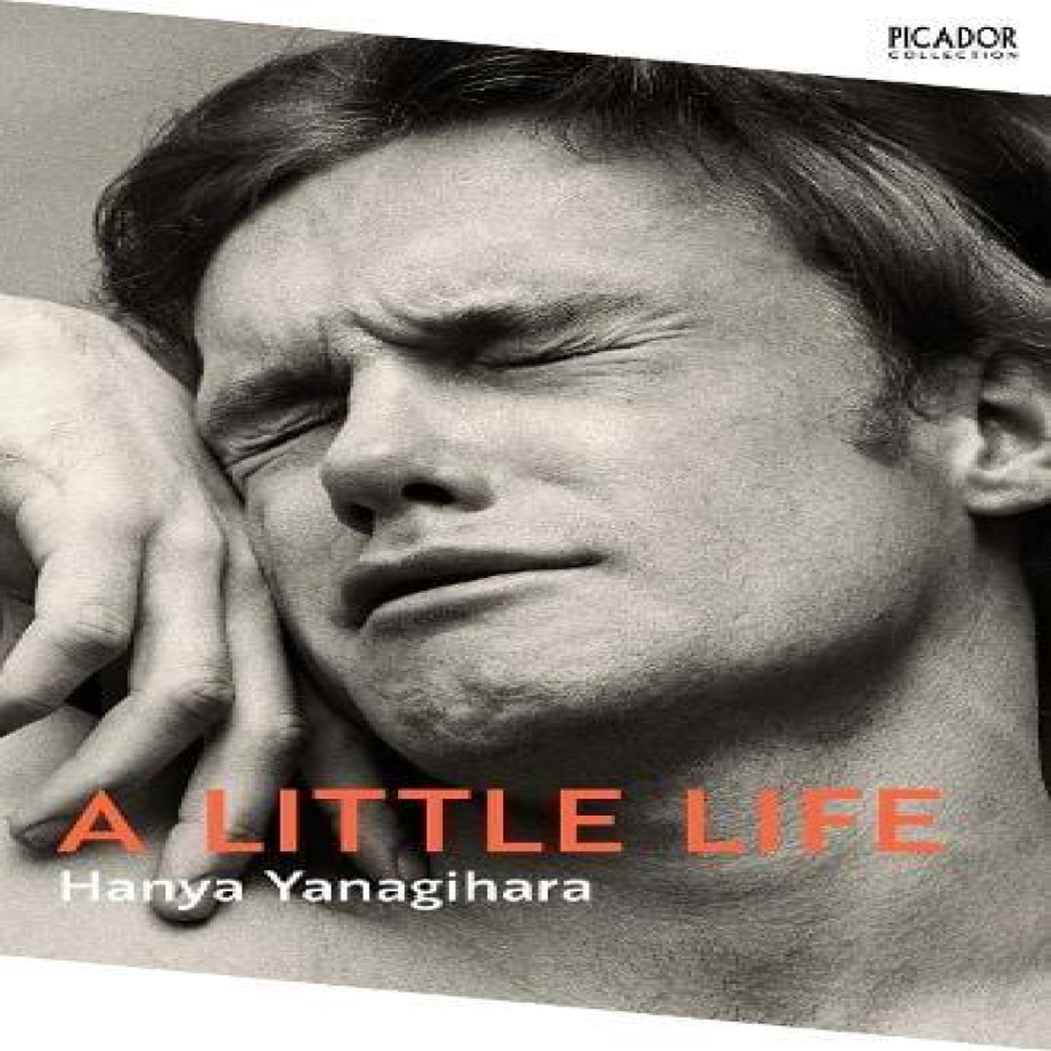 LIVRES A Little Life - Hanya Yanagihara