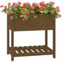 Voir la diapositive 4 : VIDAXL Jardiniere avec etagere Marron miel 82,5x54x81 cm Bois de pin