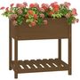 Voir la diapositive 4 : VIDAXL Jardiniere avec etagere Marron miel 82,5x54x81 cm Bois de pin