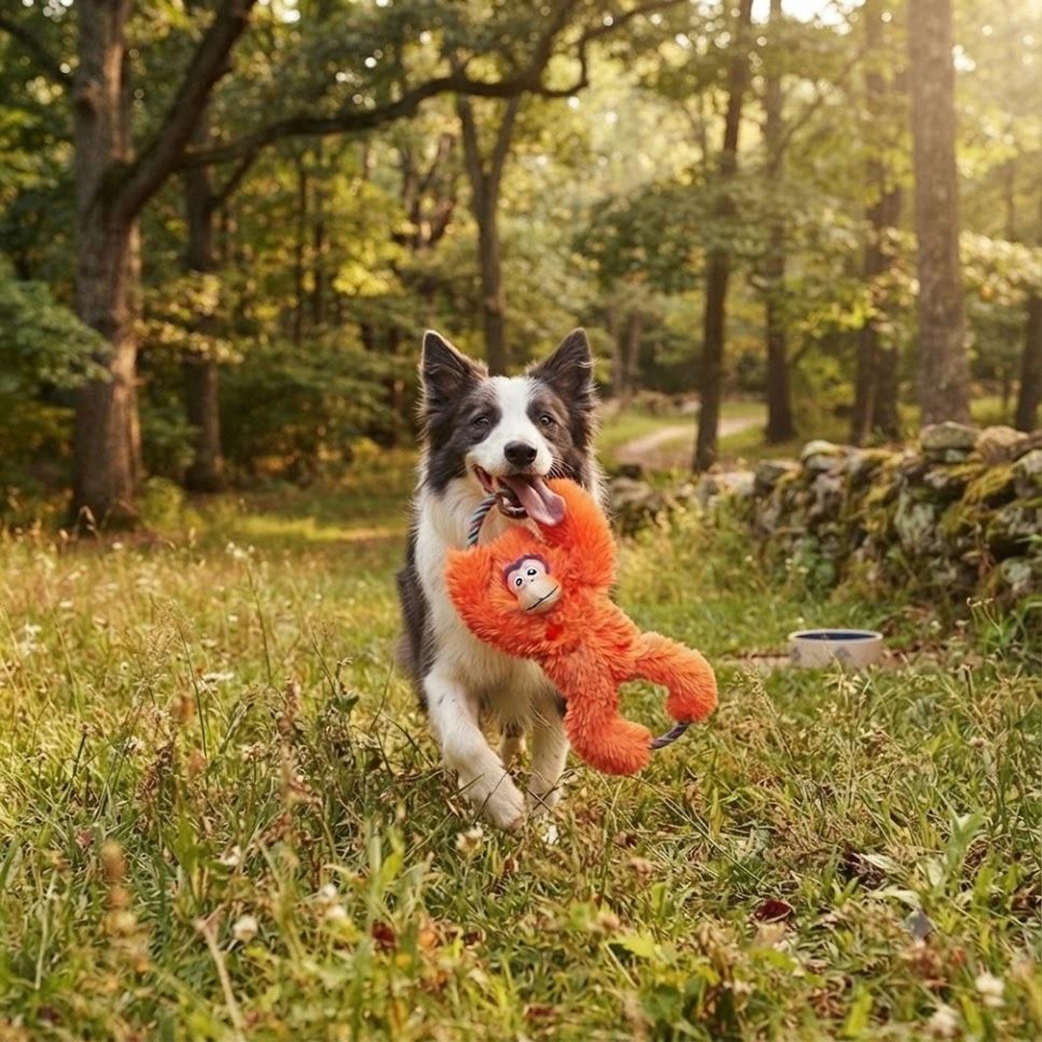 Voir la diapositive 6 : Eden Jeu pour chien tuggz singe orange