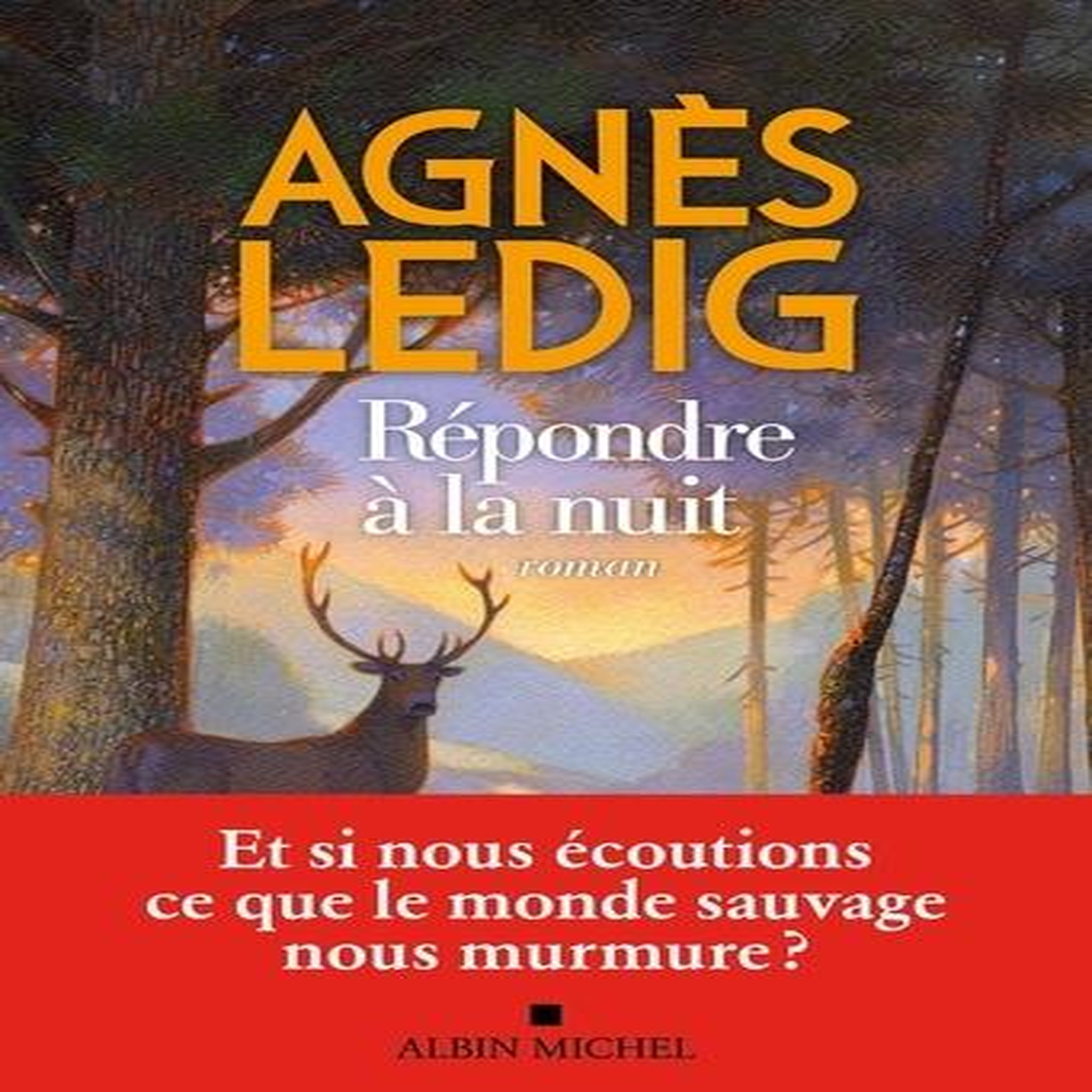 REPONDRE A LA NUIT, Ledig Agnès
