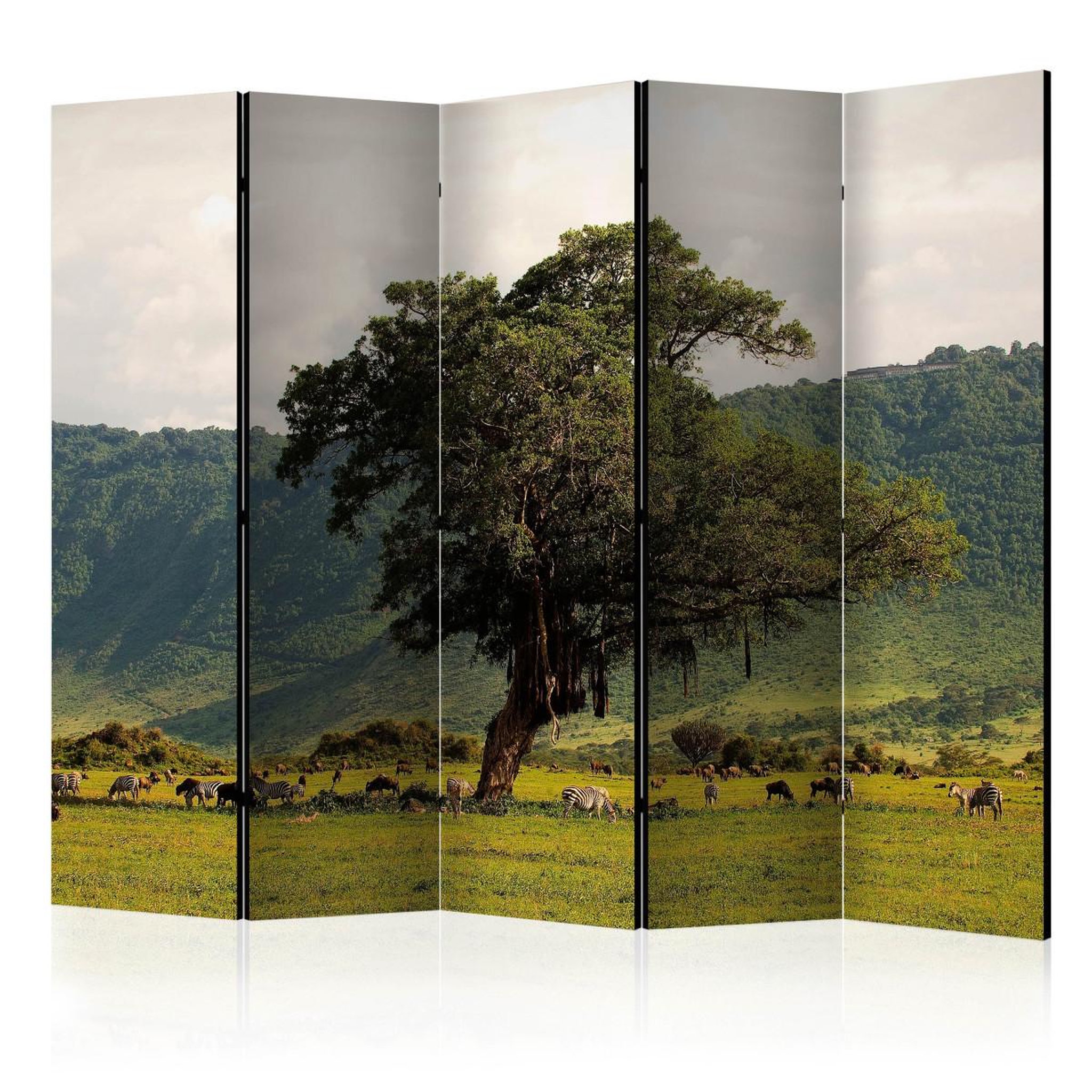 Paris Prix Paravent 5 volets  in a crater of ngoro ngoro  172x225cm