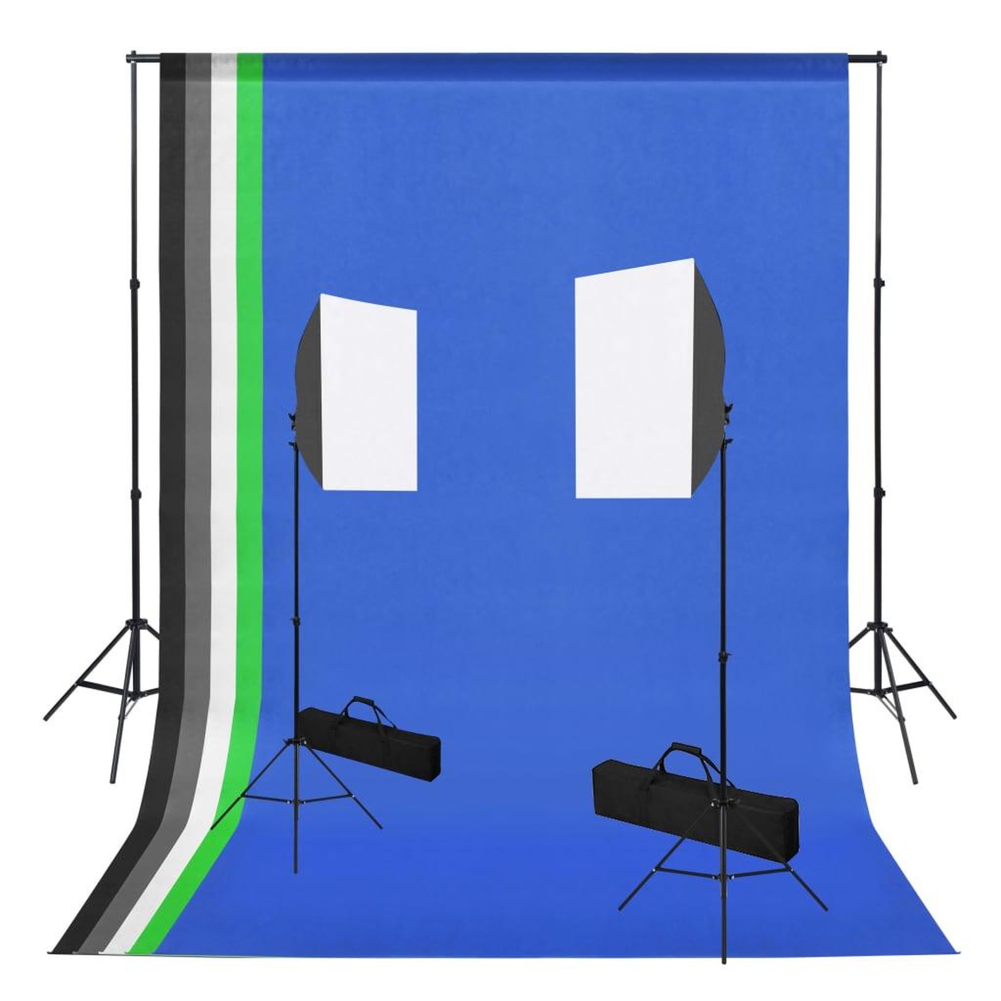 VIDAXL Kit de studio photo avec boîte a lumiere et toiles de fond