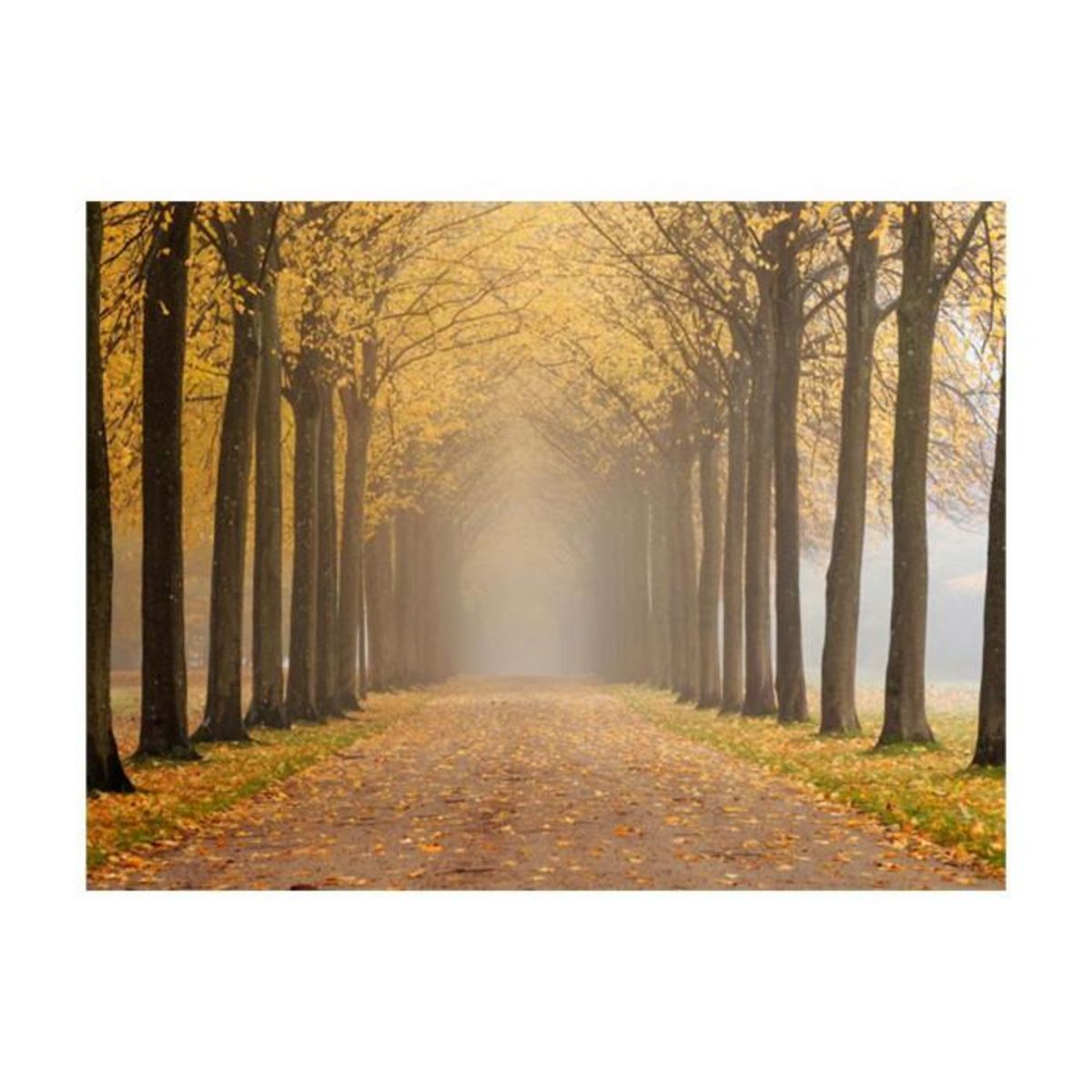 Paris Prix Papier Peint  Journey To the Unknown