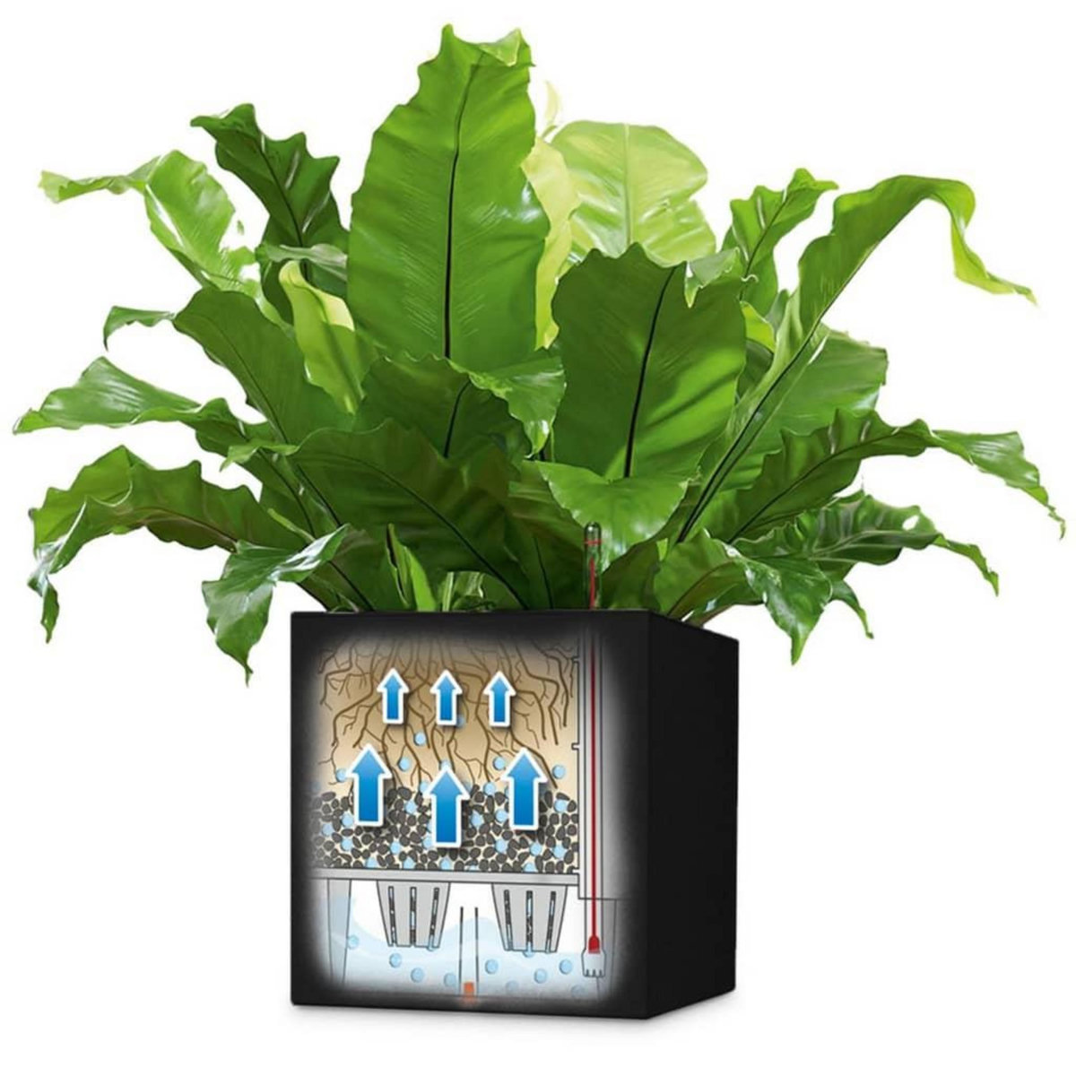 LECHUZA LECHUZA Jardiniere Canto Color Square 40 ALL-IN-ONE Graphite 13722