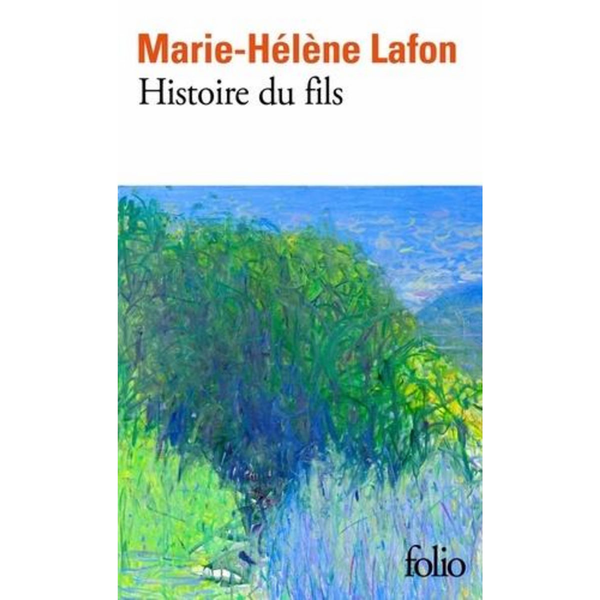 HISTOIRE DU FILS, Lafon Marie-Hélène