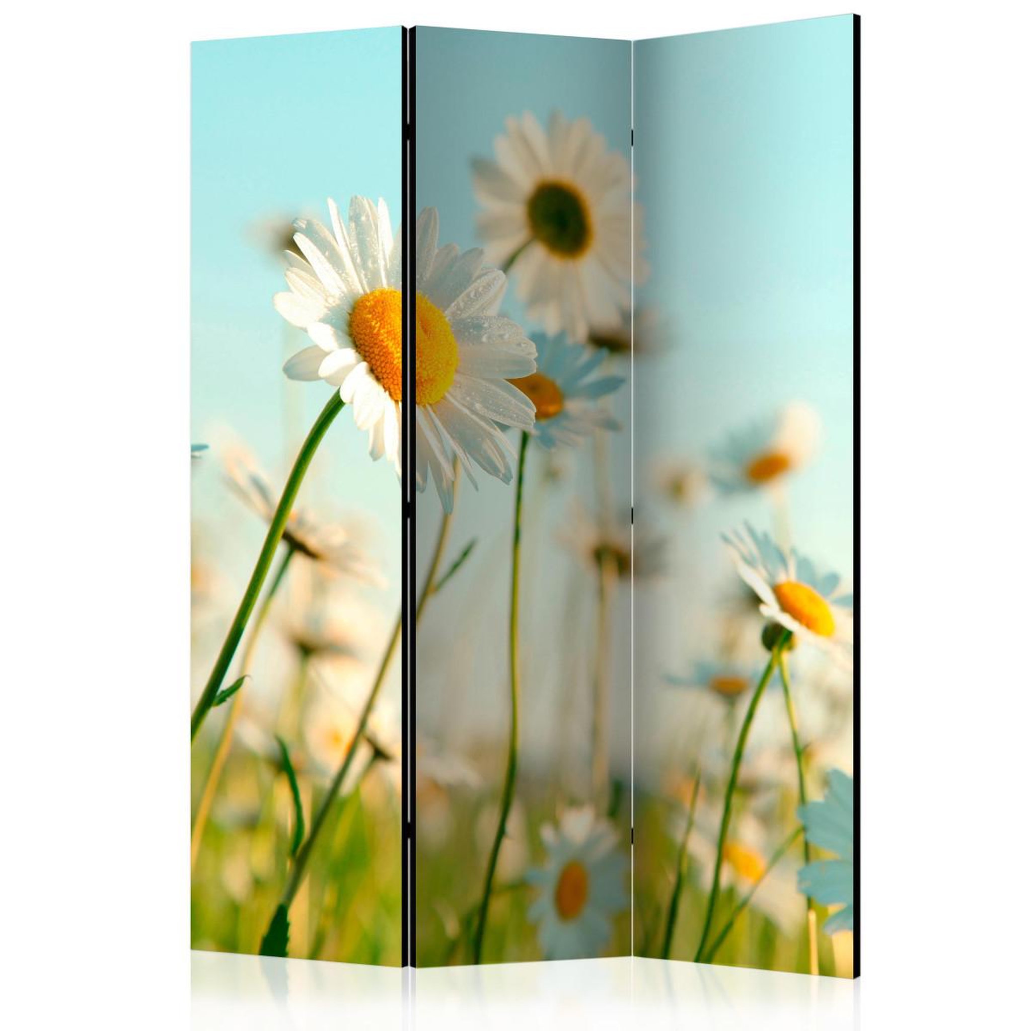 Paris Prix Paravent 3 volets  daisies spring meadow ii  135x172cm