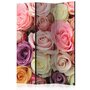 Voir la diapositive 1 : Paris Prix Paravent 3 Volets  Pastel Roses  135x172cm