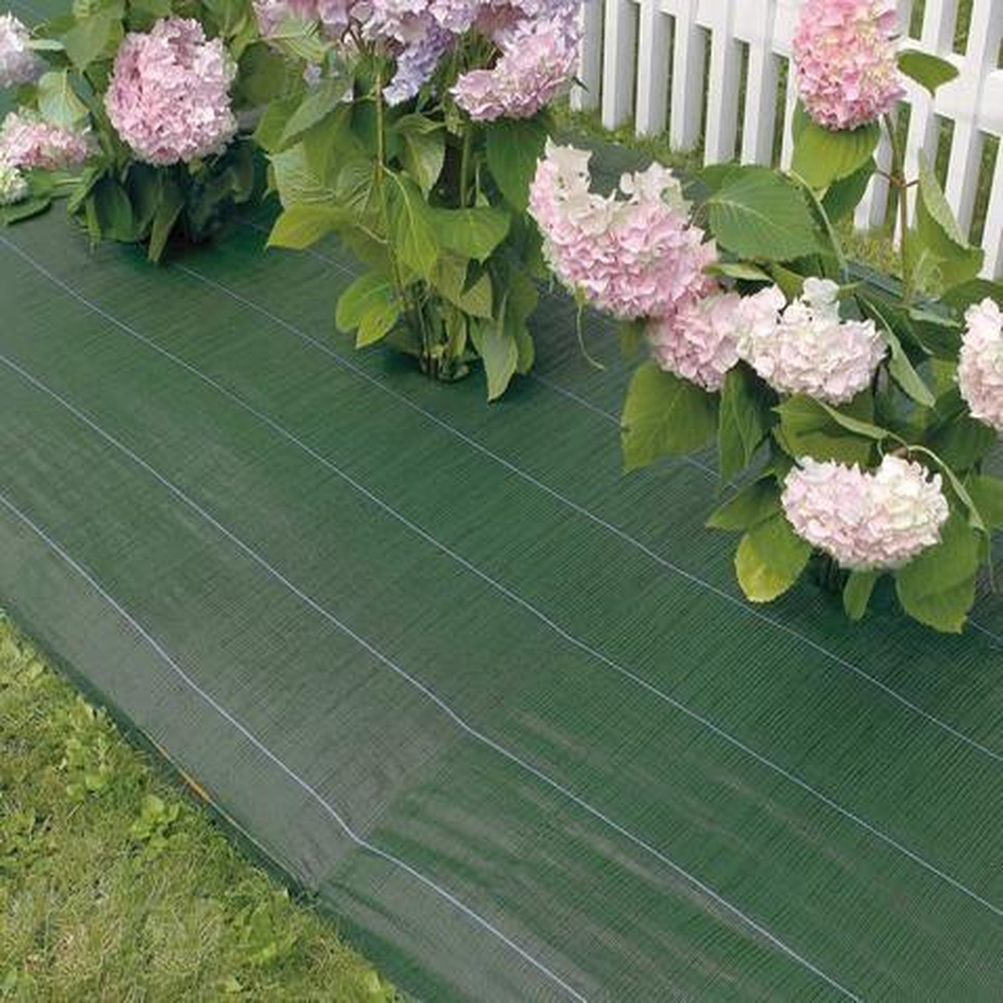 Nortene Toile de paillage Weedsol  - Vert - 2,10x100m