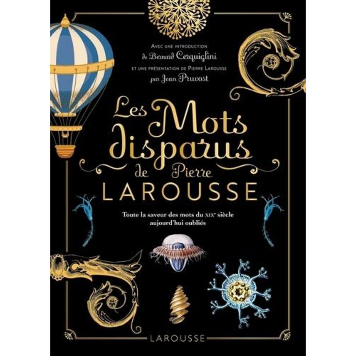 LES MOTS DISPARUS DE PIERRE LAROUSSE, Larousse Pierre