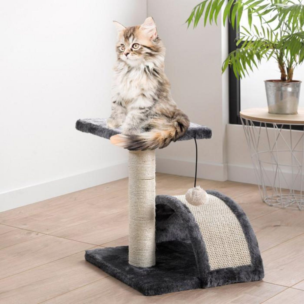 Paris Prix Arbre à Chat avec Tunnel  1 Plateforme  38cm Noir