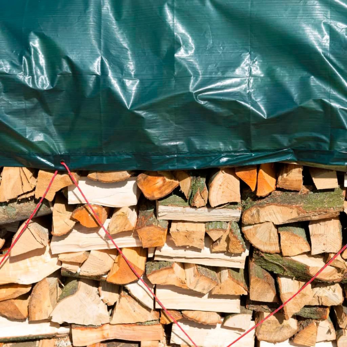 NATURE Nature Bache a bois de chauffage 2x8 m PE Vert