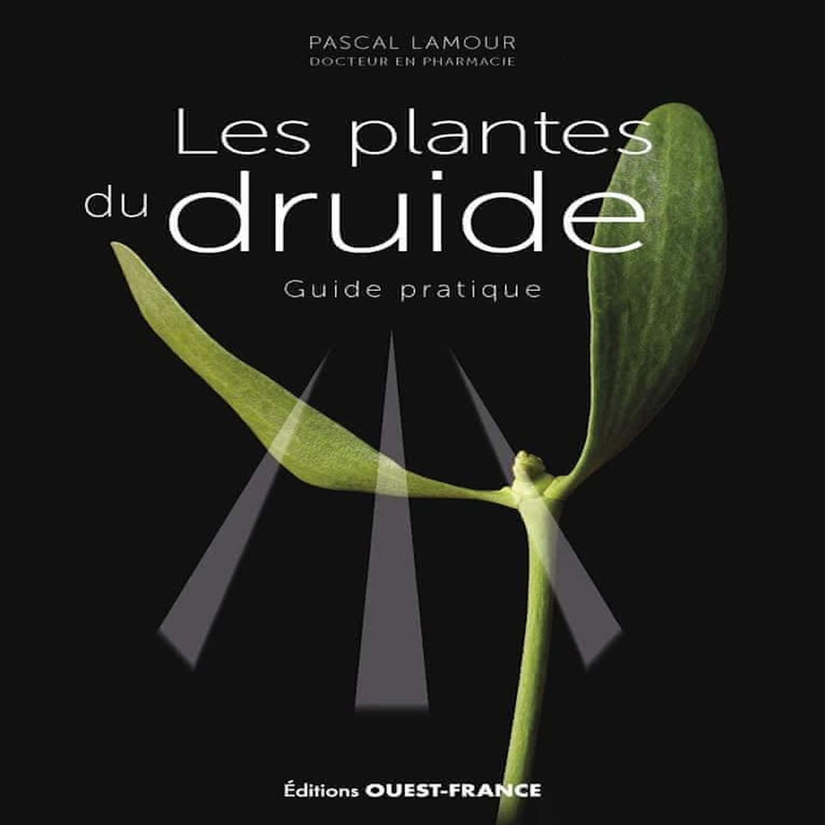LES PLANTES DU DRUIDE. GUIDE PRATIQUE, Lamour Pascal