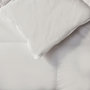 Voir la diapositive 4 : DUNLOPILLO Couette Premium - 30% duvet - Chaude