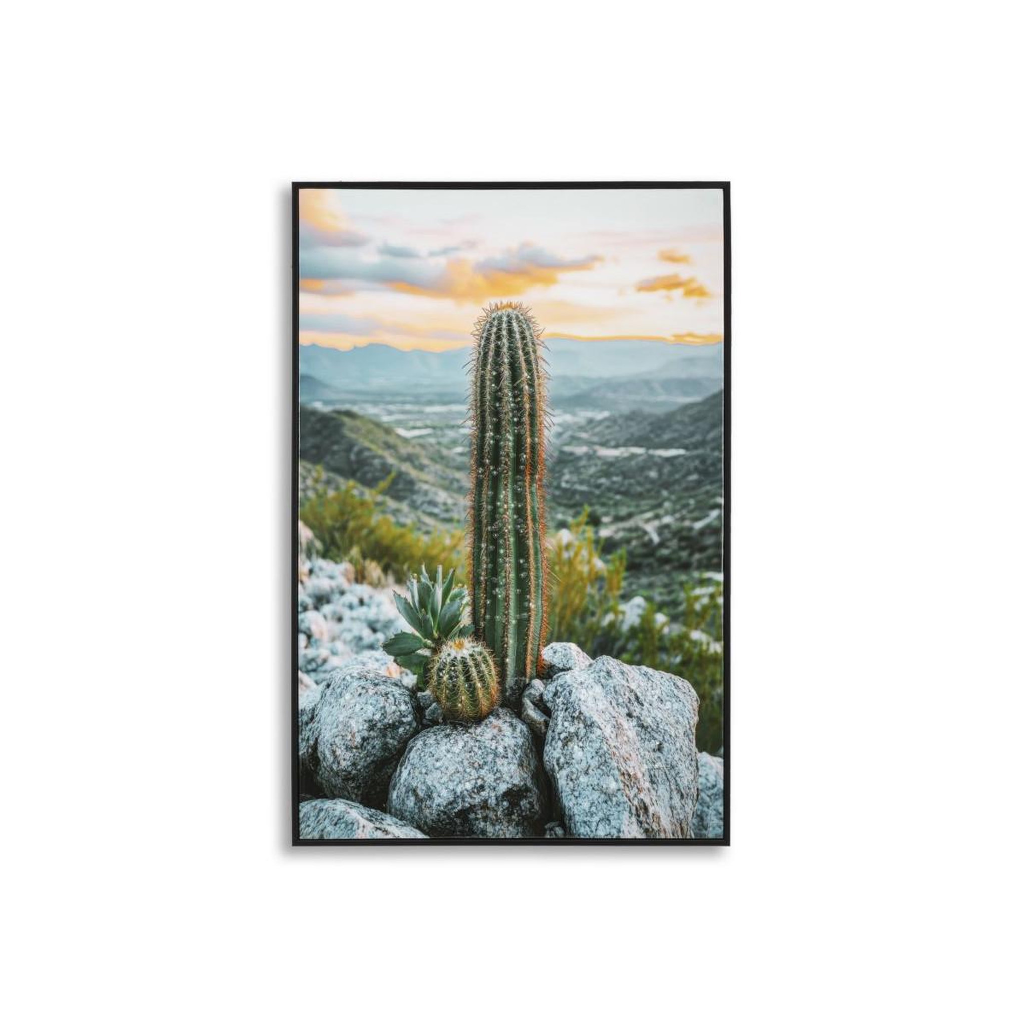 Paris Prix Tableau imprimé  cactus dressé i  60x90cm multicolore