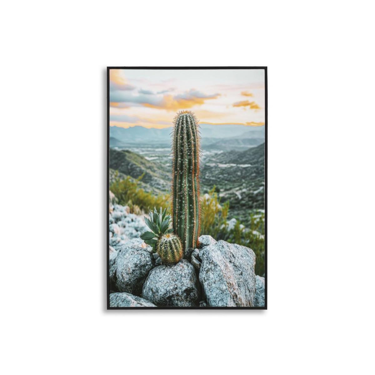 Paris Prix Tableau Imprimé  Cactus Dressé I  60x90cm Multicolore