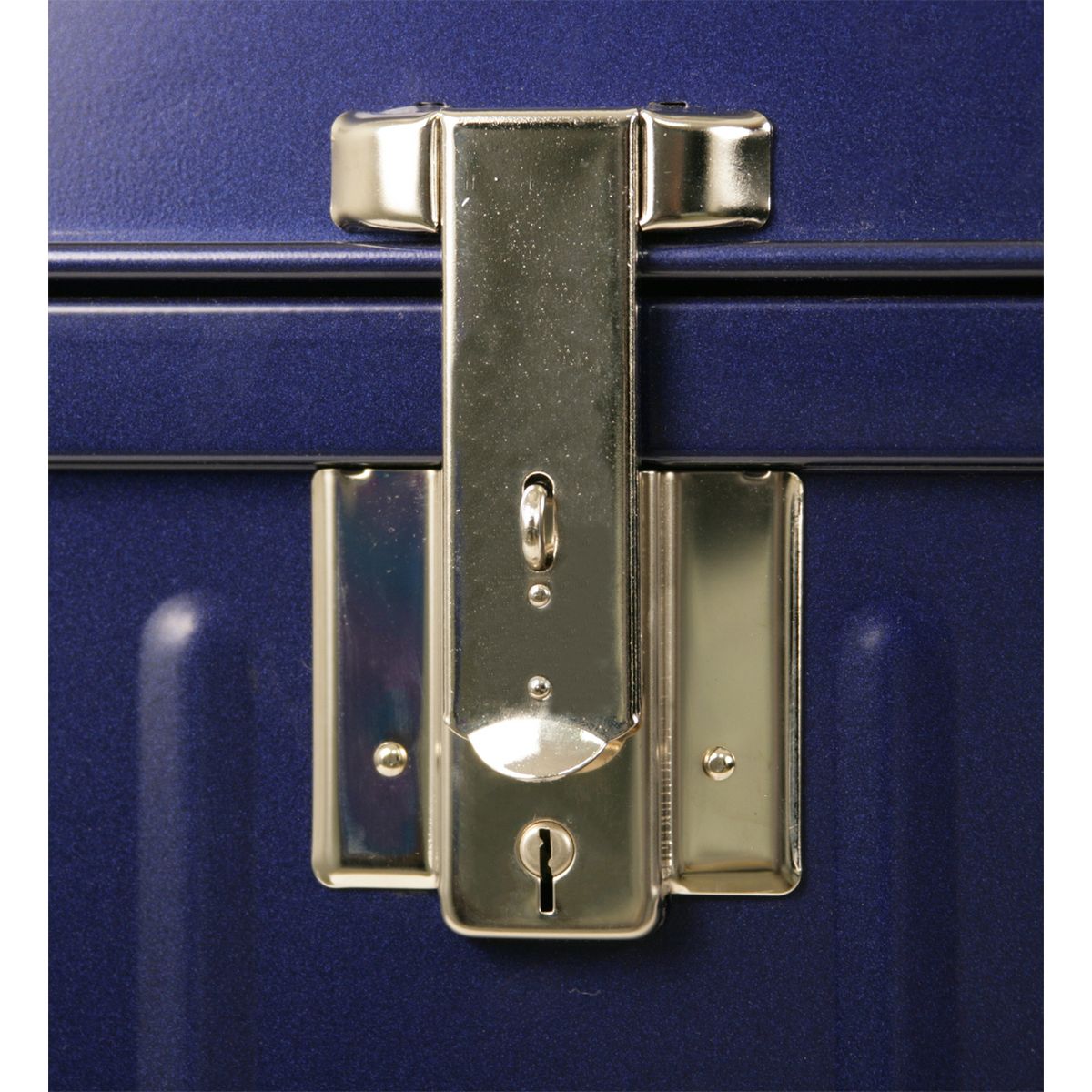 Malle cantine de rangement Suez 100 cm finition nacrée TRAVELING