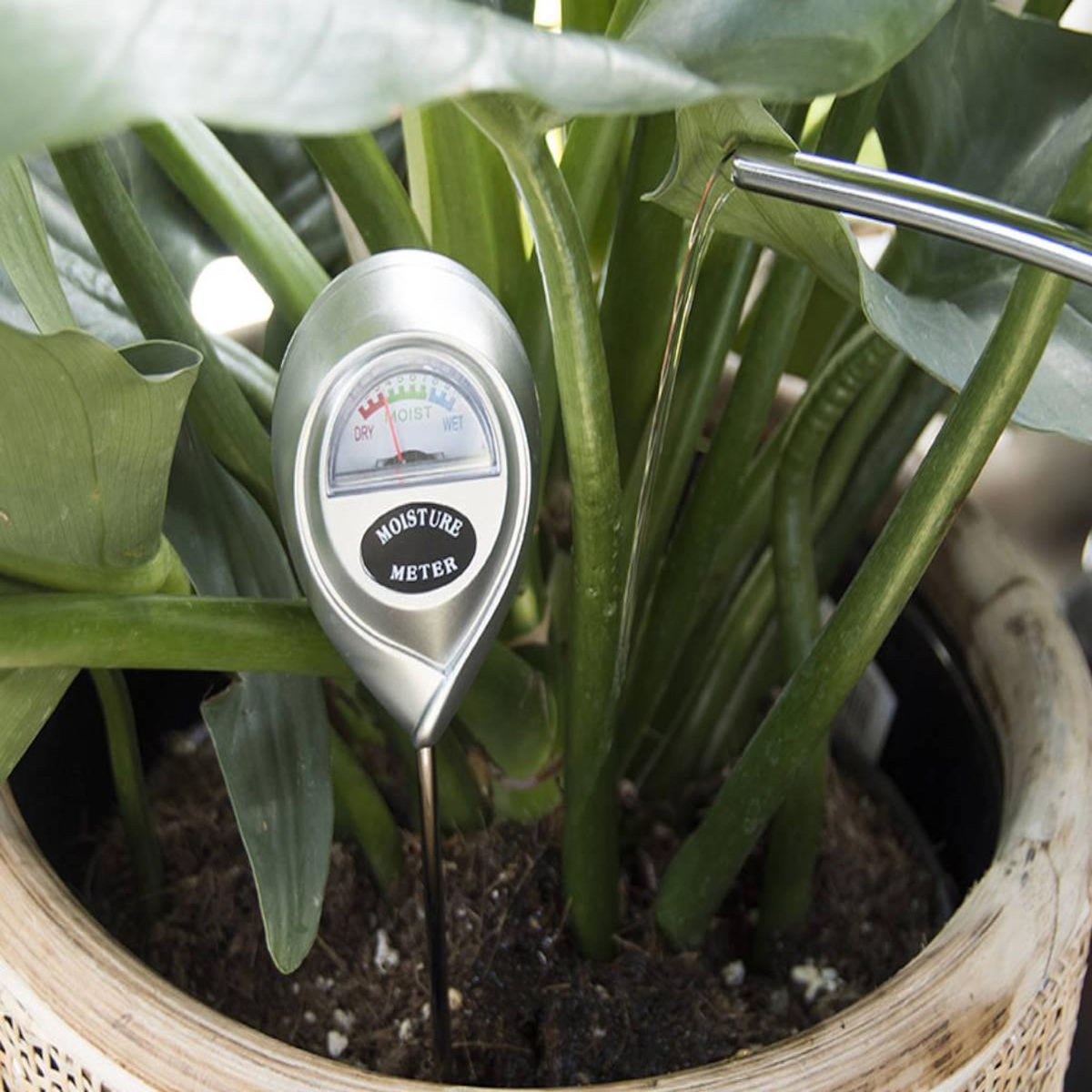 ESSCHERT DESIGN Humidimètre de sol - Esschert Design