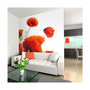 Voir la diapositive 1 : Paris Prix Papier Peint  Poppies on the Wihite Background