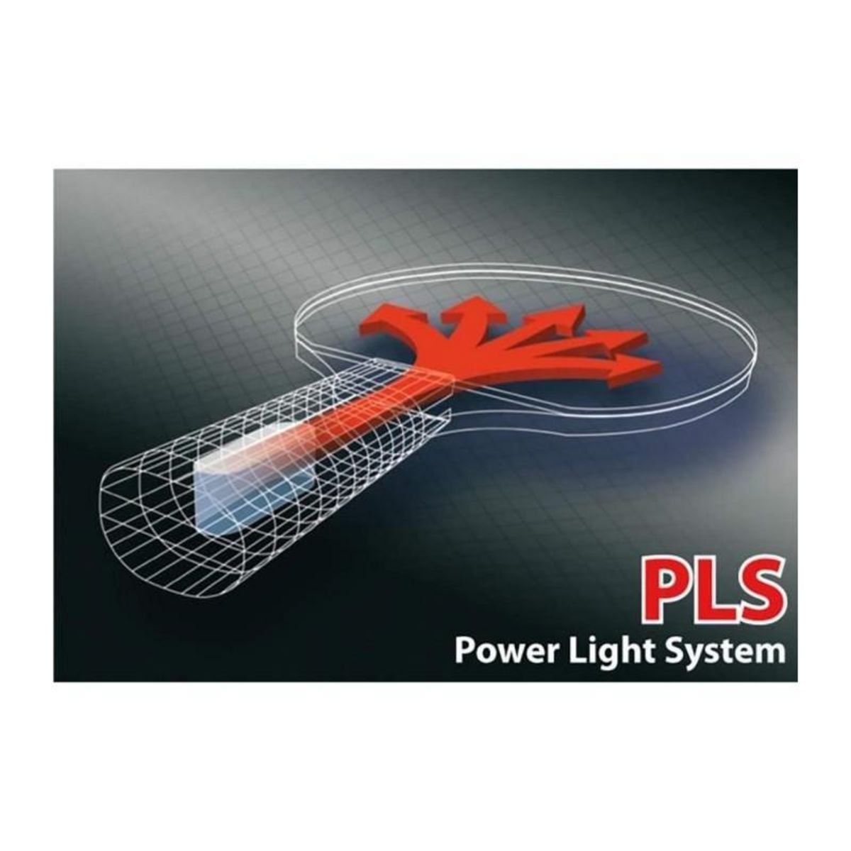 SCHILDKROT Raquette de tennis de table - SCHILDKRÖT - LEGENDS 1000 FSC