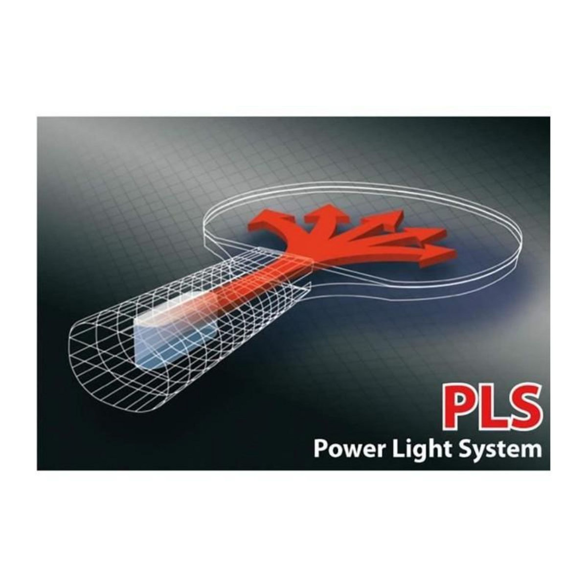 SCHILDKROT Raquette de tennis de table - SCHILDKRÖT - LEGENDS 1000 FSC