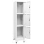 Voir la diapositive 3 : VIDAXL Armoire a casier avec 3 compartiments 38x45x180 cm