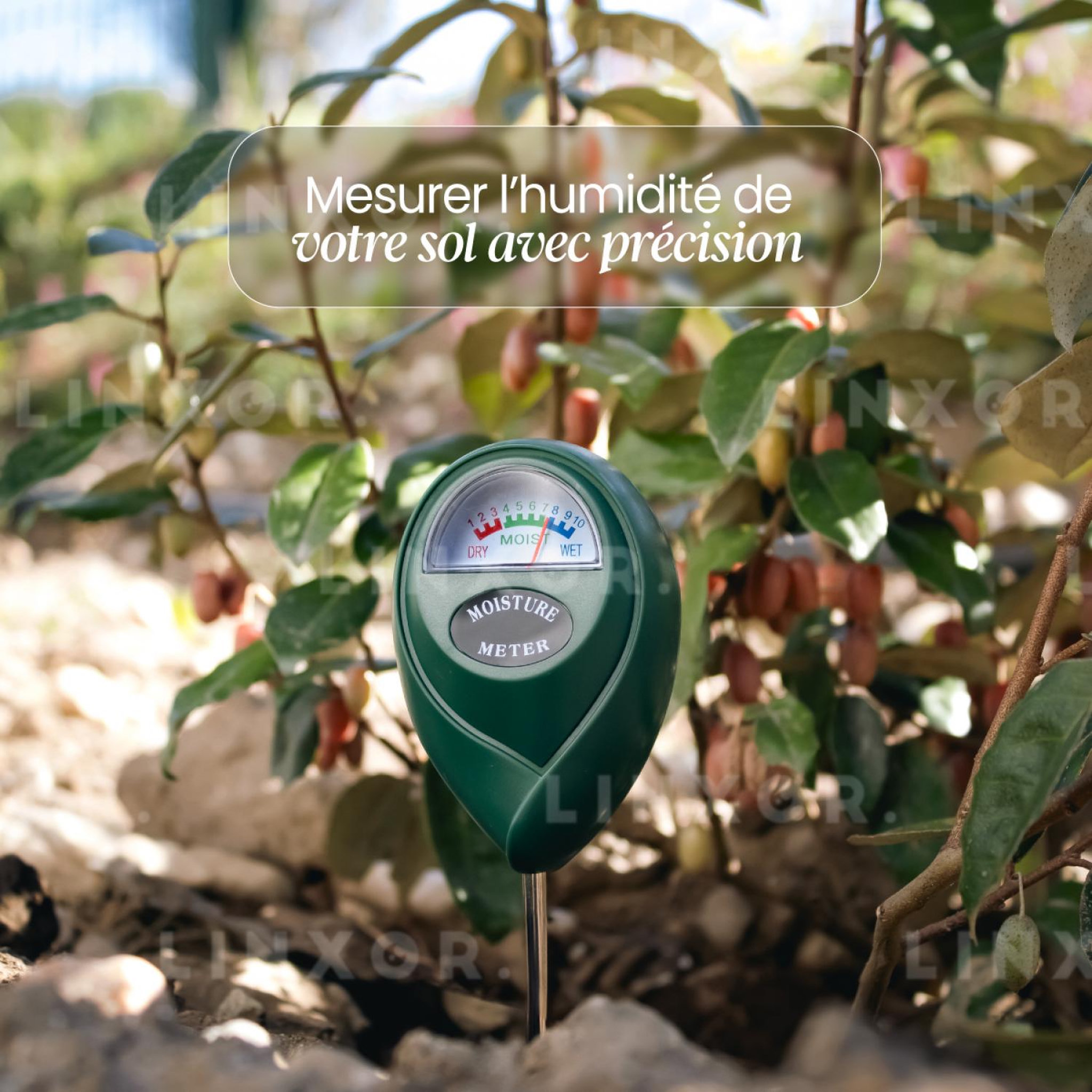 Voir la diapositive 5 : LINXOR Testeur, capteur d'humidité, hygromètre pour plante ou sol