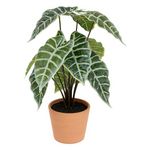 ATMOSPHERA Plante Artificielle Alocasia  Soleya  43cm Vert