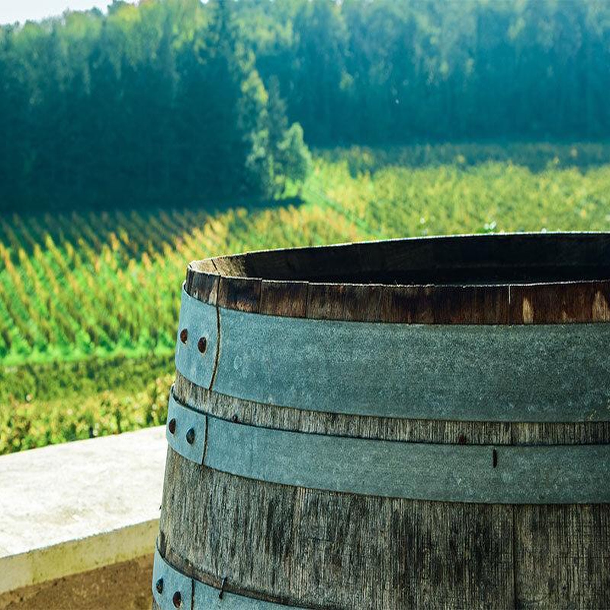 Voir la diapositive 3 : Smartbox Séjour de 2 jours à vélo avec dégustation de vins à travers les châteaux de la Loire - Coffret Cadeau Séjour