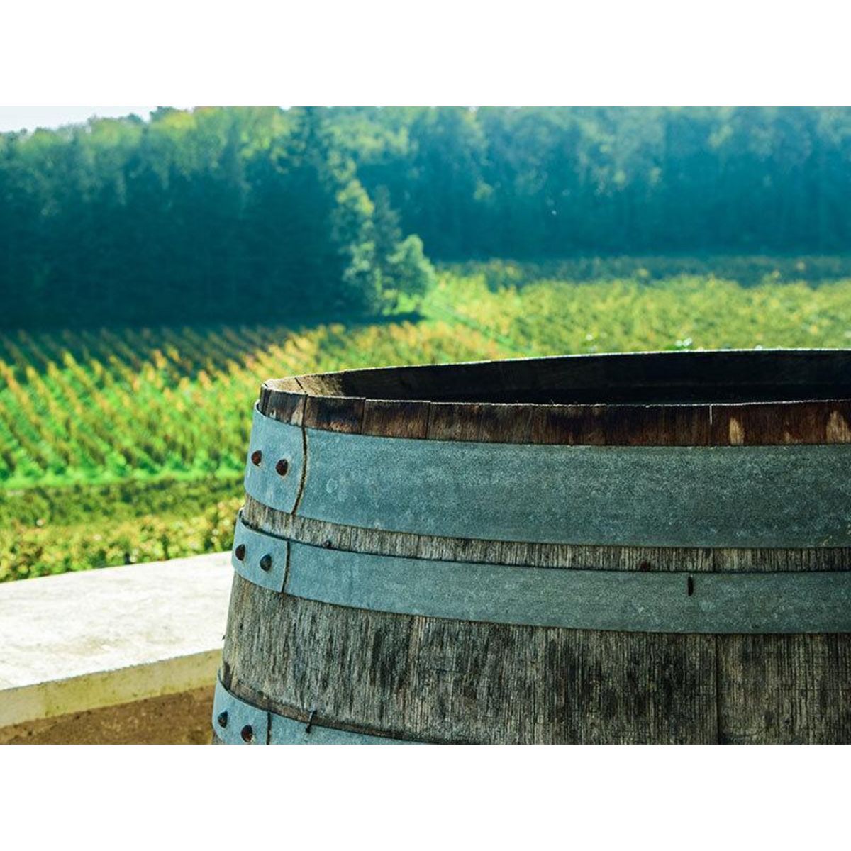 Smartbox Séjour de 2 jours à vélo avec dégustation de vins à travers les châteaux de la Loire - Coffret Cadeau Séjour