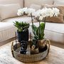 Voir la diapositive 4 : PLANT IN A BOX Coffret cadeau orchidée 'Copper XL' - Phalaenopsis - Hauteur 35cm