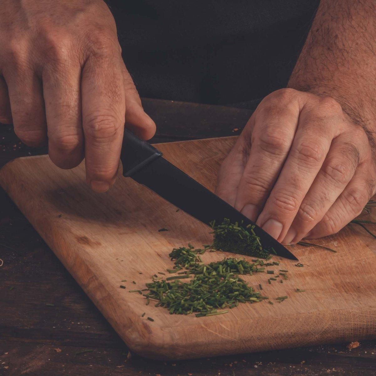 NIROSTA Couteau d'office 24 cm Nirosta Black Edition