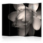 Voir la diapositive 1 : Paris Prix Paravent 5 Volets  Lotus Flower  172x225cm