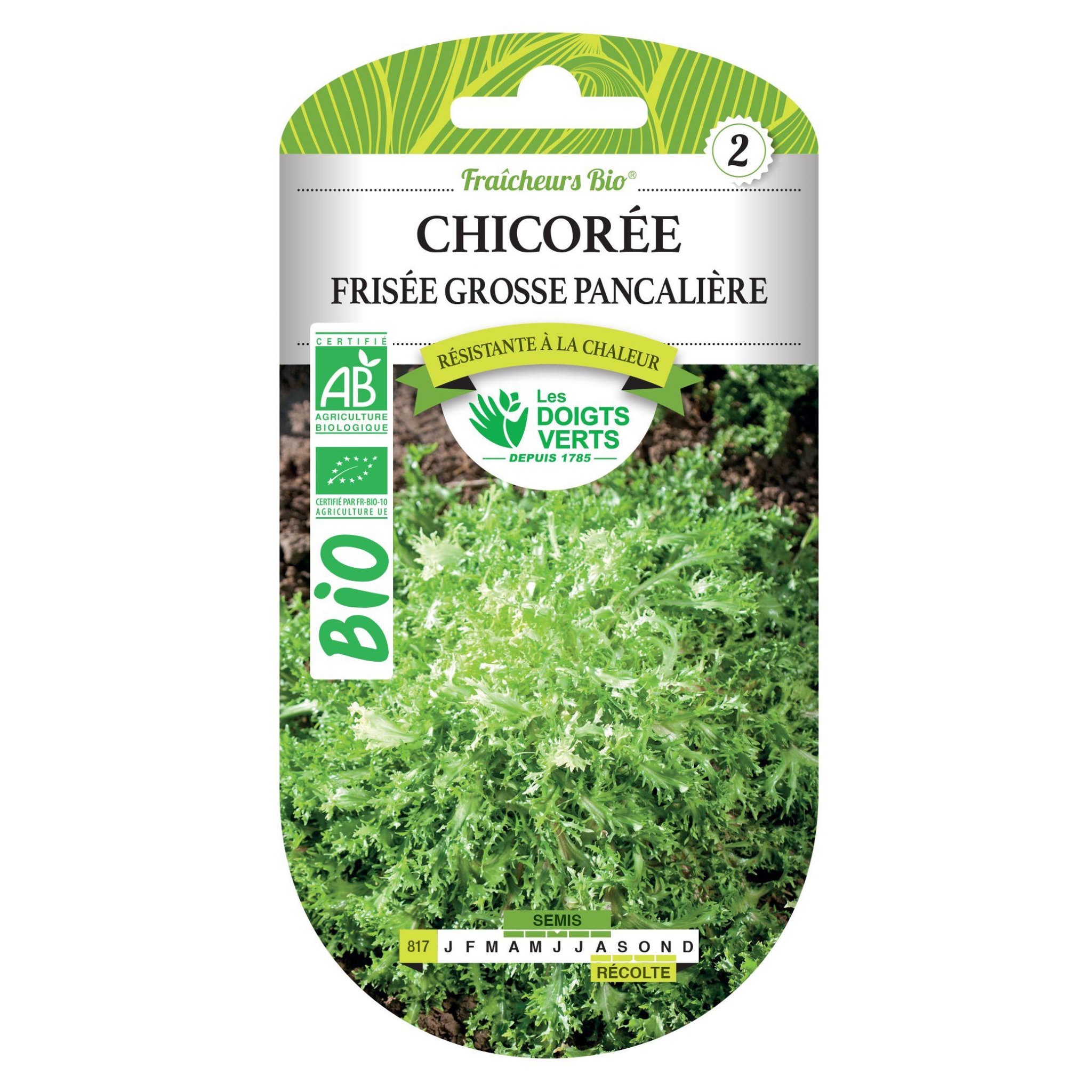 Voir la diapositive 2 : LES DOIGTS VERTS Graines Chicorée Frisée Grosse Pancalière BIO Les Doigts Verts