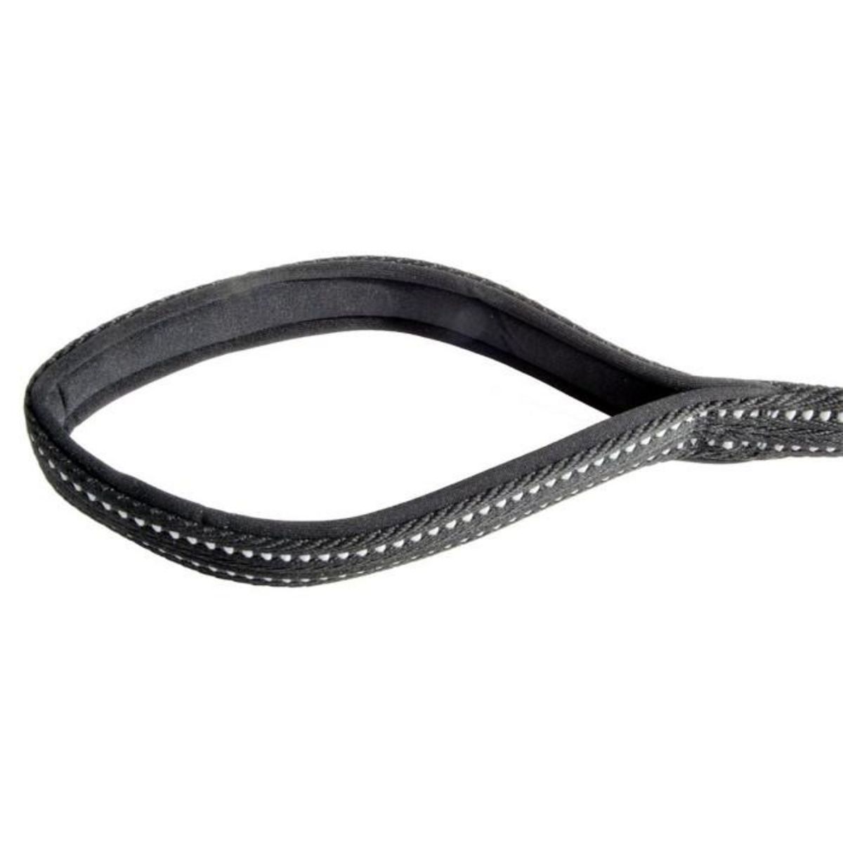 Paris Prix Laisse Pour Chien Réfléchissante  Expert  70cm Noir