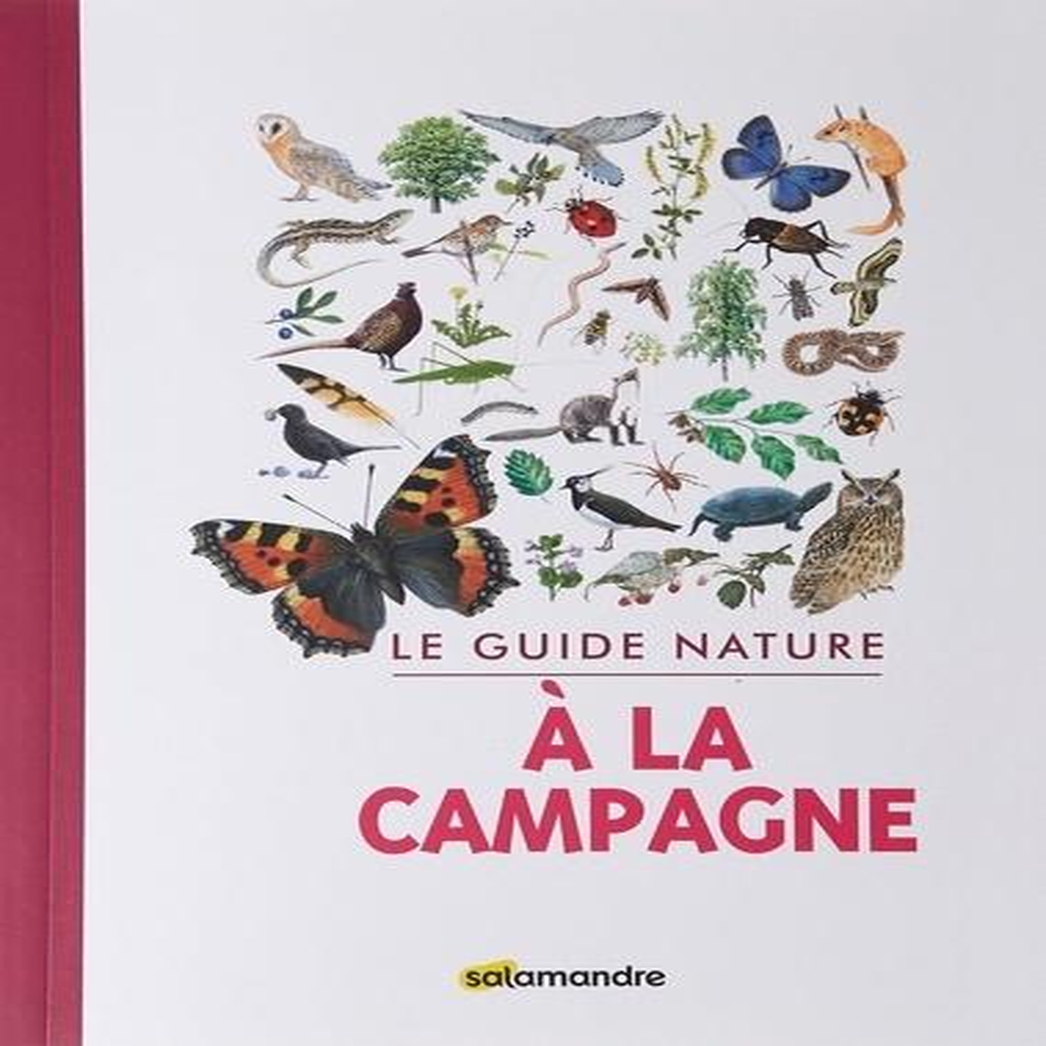 LE GUIDE NATURE A LA CAMPAGNE, Adriaens Aino