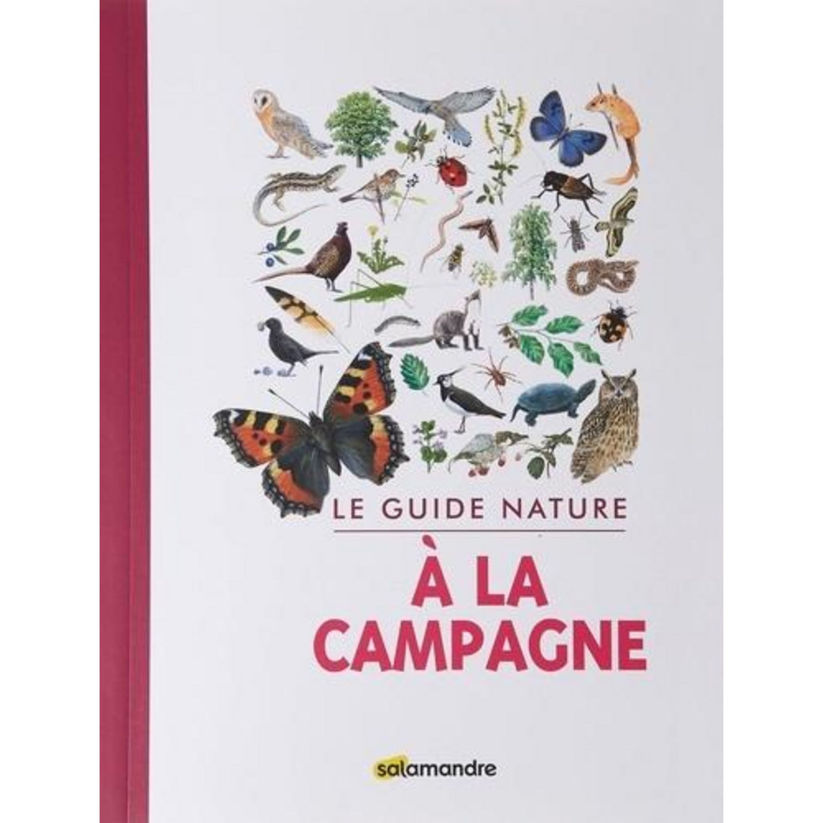 LE GUIDE NATURE A LA CAMPAGNE, Adriaens Aino