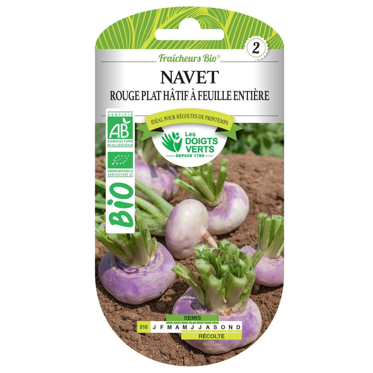 LES DOIGTS VERTS Graines navet rouge plat hâtif BIO Les Doigts Verts