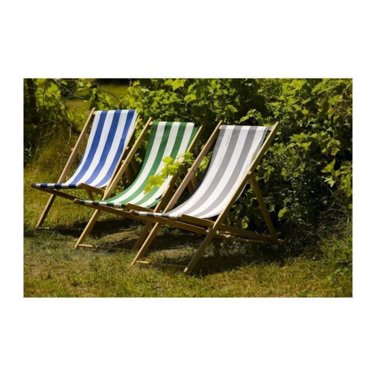 Jardin prive JARDIN PRIVE Chilienne Cancale - Toile fixe - Vert