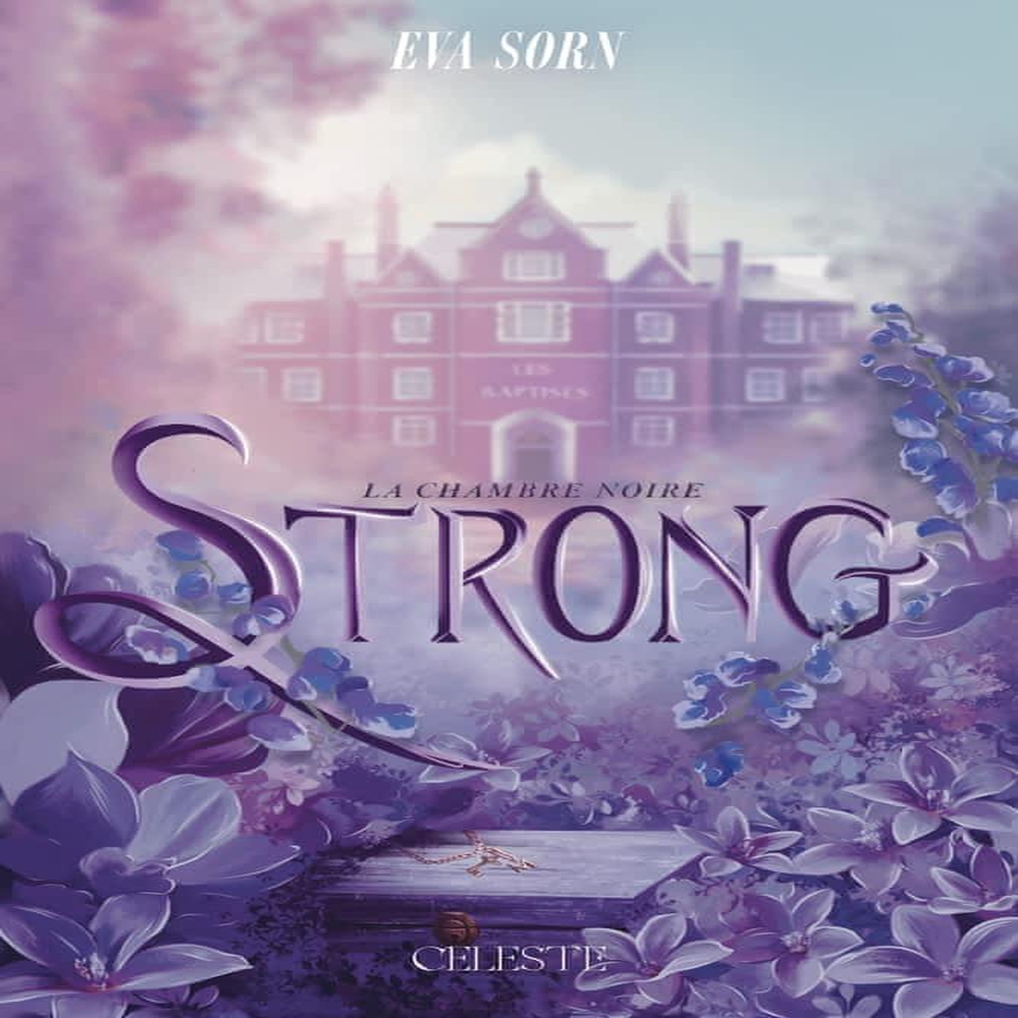 STRONG TOME 1 : LA CHAMBRE NOIRE, Sorn Eva