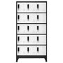 Voir la diapositive 2 : VIDAXL Armoire a casiers Anthracite et blanc 90x40x180 cm Acier