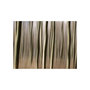 Voir la diapositive 2 : Paris Prix Papier Peint  Forêt